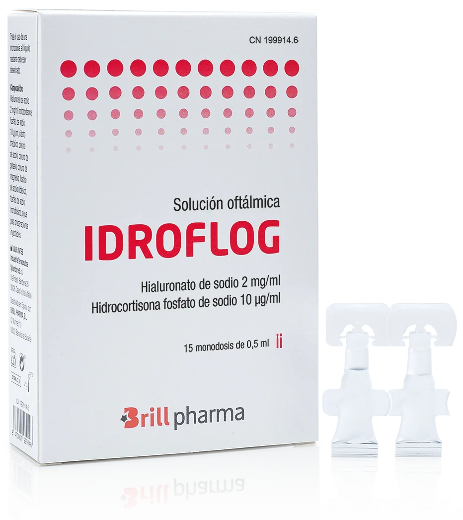 idroflogES2-e1734686293408