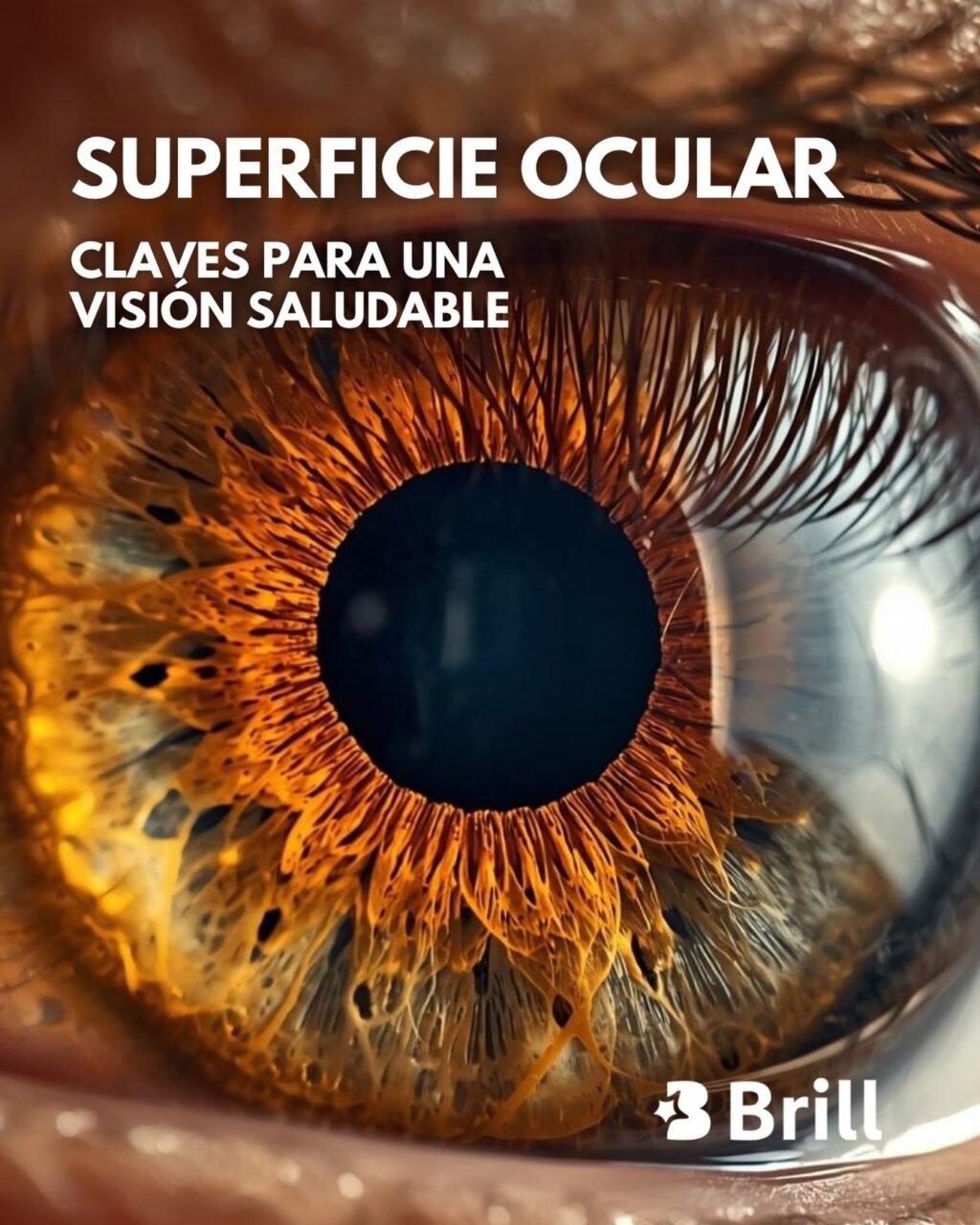 Instagram post from brillpharma. This post is in position 2.